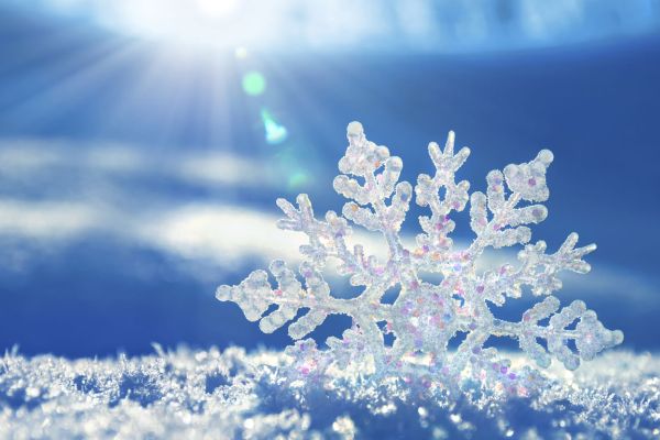 Wintereröffnung im Bindhof 2026