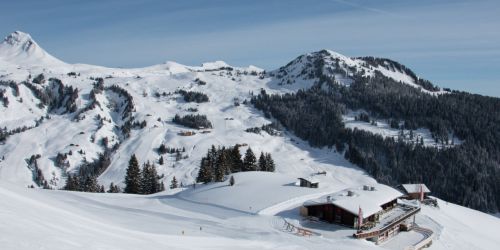 Freitag Frei - ab auf die Piste! Dam&uuml;ls-Mellau